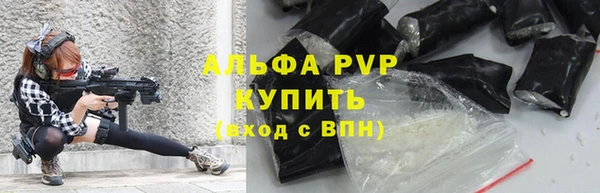 дмт Бородино