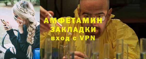 дмт Бородино