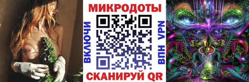купить закладку  Завитинск  это телеграм  Галлюциногенные грибы мухоморы 
